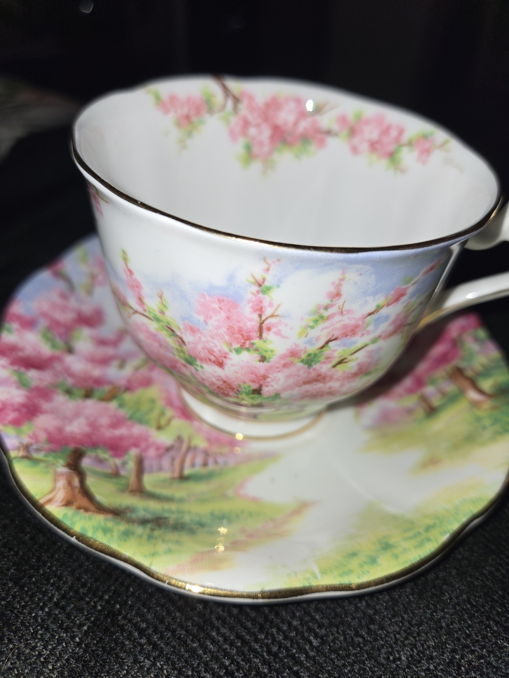 Blossom TIME Royal Albert China Cup & Saucer